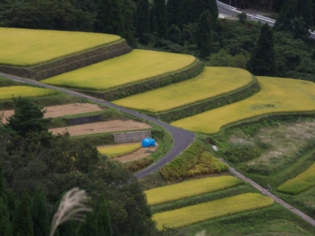 �I�c_���ĒI�c