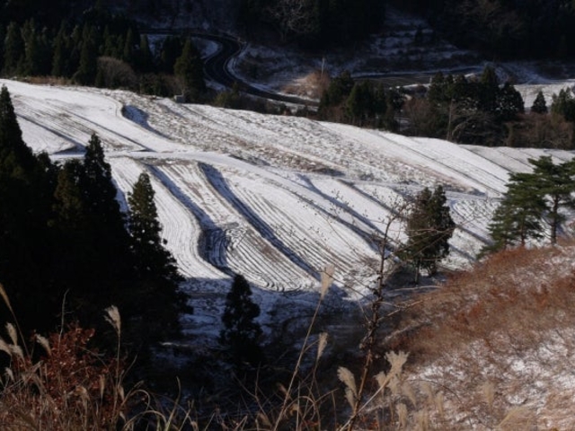 �I�c_���ĒI�c