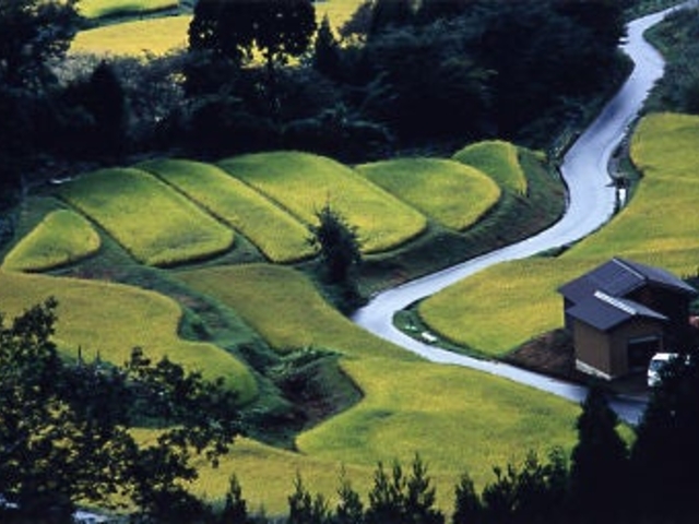 �I�c_���ĒI�c