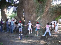 ��������Ђ̏��̎ʐ^1