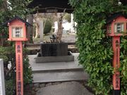 ���R�_�Ђ̎ʐ^3