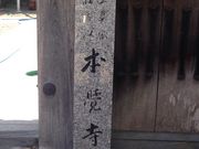 �{�o���i�Ă����񎛁j�̎ʐ^2