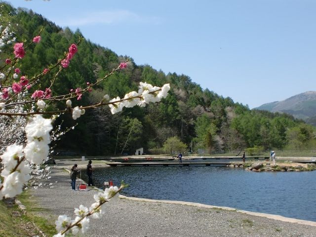 ���J�΃t�B�b�V���O�X�|�b�g