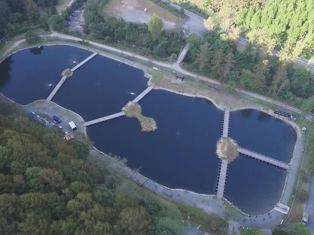 ���J�΃t�B�b�V���O�X�|�b�g