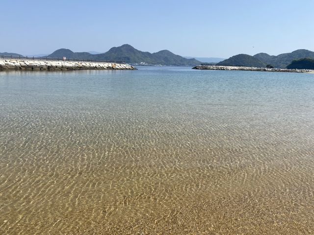 ����T���r�[�`