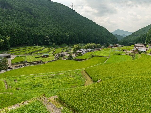 加美区岩座神で「棚田カード」の配布が始まりました。 - 多可町