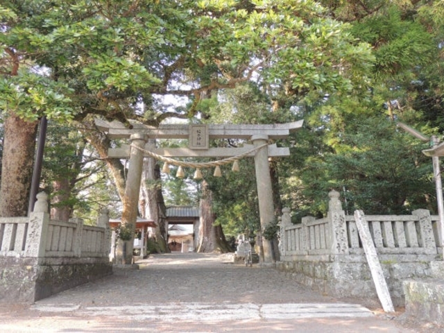 �g�q�_�Ђ̎ʐ^1