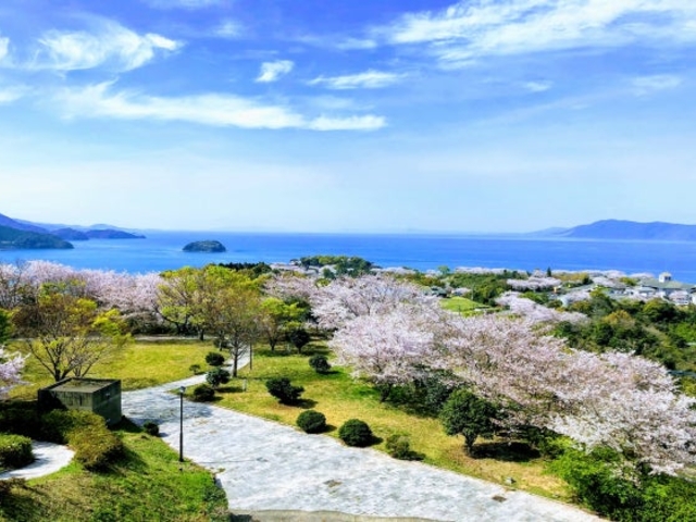 ���k���̍��̎ʐ^1