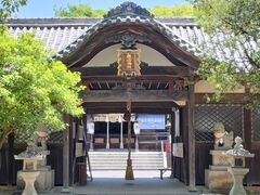 �I�ɍ��@�����_�Ђ̎ʐ^1