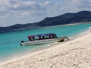 ͂Ă̕lcA[ vēCmW[̎ʐ^4