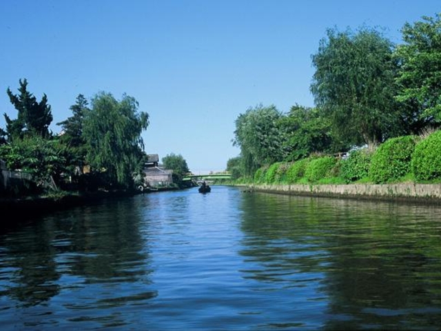 ���������\�񋴏���