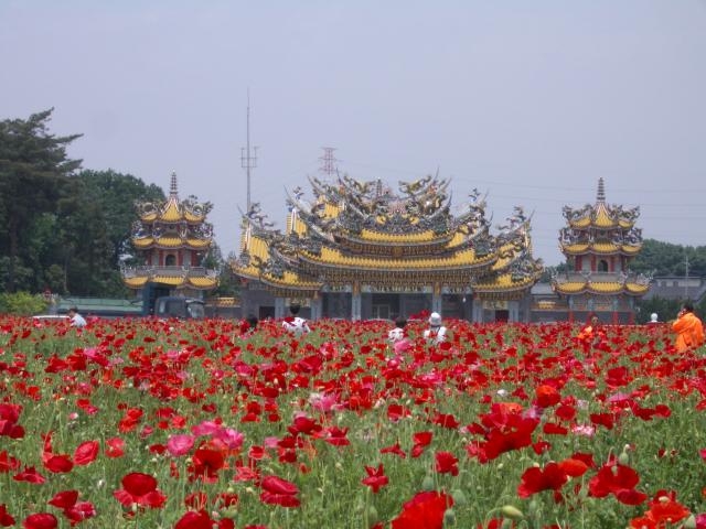 �ܐ瓪�̗������鐹�V�{