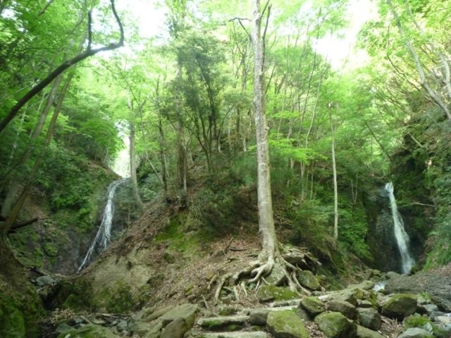 �Y��E����_�Y��E����