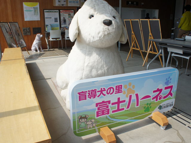 �ӓ����̗��x�m�n�[�l�X