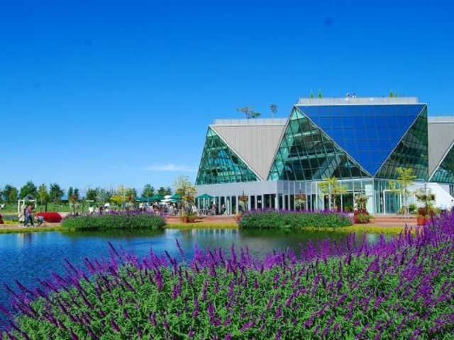 �t�����[�p�[�N�]��