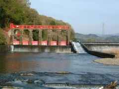 ���q���̎ʐ^1