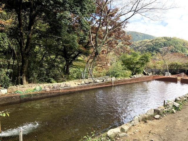 �F���ؑ�k���Z���^�[�@