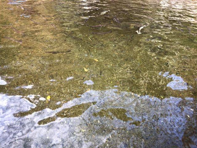 �F���ؑ�k���Z���^�[�@