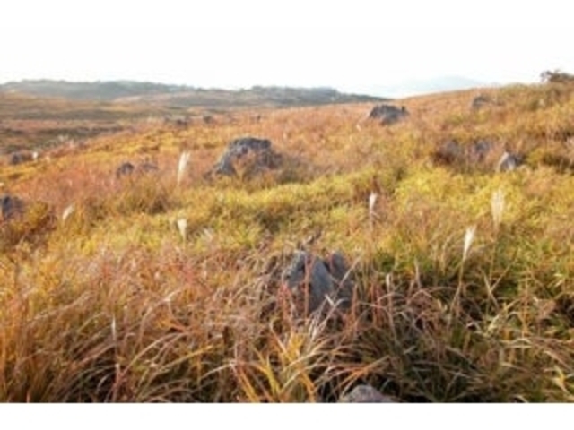 �H�g�䑐�g�t_�H�g�� ���g�t