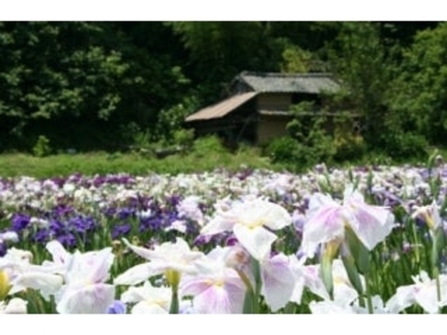 �Ҋ����̎ʐ^1