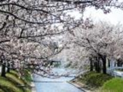 ���m������؂̎ʐ^1