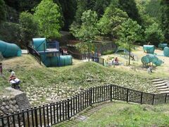 ���J�����̎ʐ^1