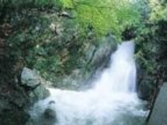 �h�̐�̑�̎ʐ^1