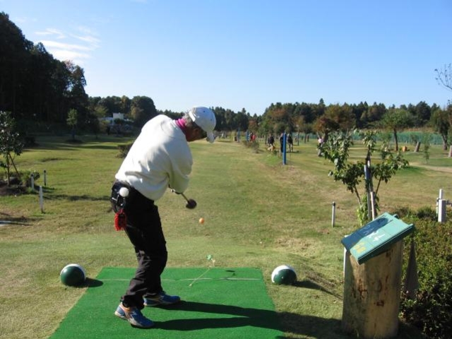 �V�y�p�[�N�S���t_�V�y�p�[�N�S���t��