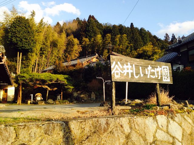 �J�䂵��������