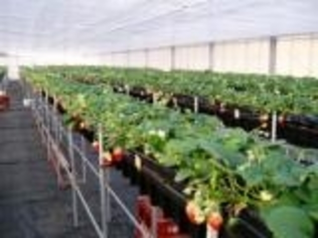 �}�C�x���[�t�@�[��