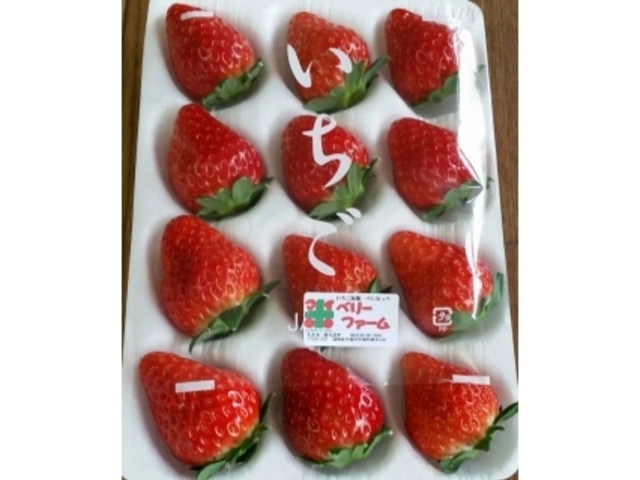 �}�C�x���[�t�@�[��