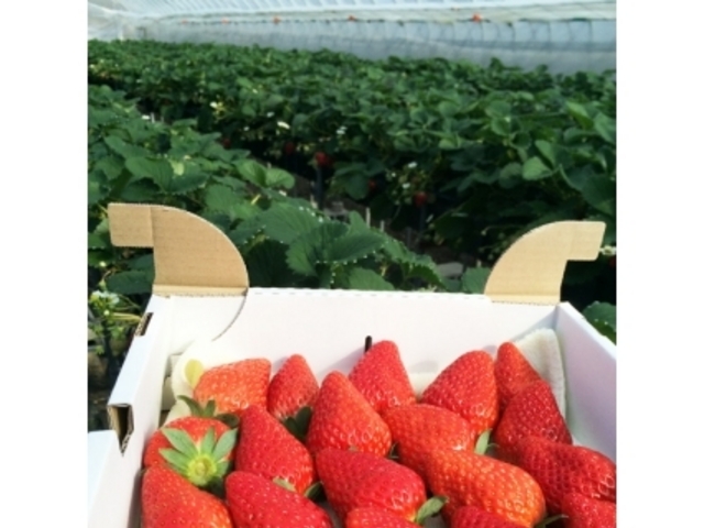 �}�C�x���[�t�@�[��