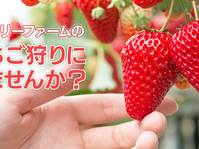 �}�C�x���[�t�@�[��