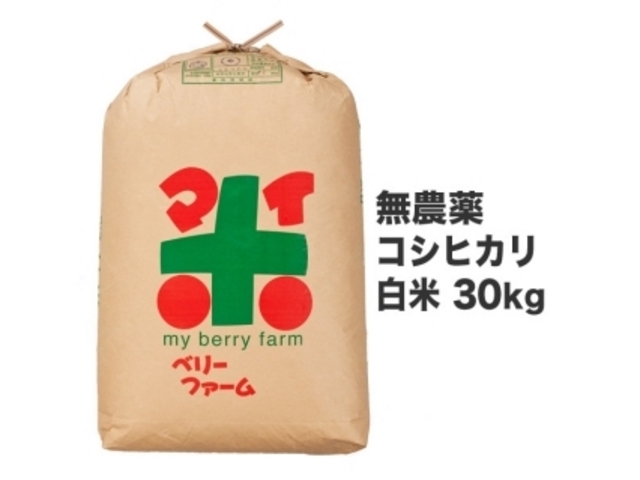 �}�C�x���[�t�@�[��