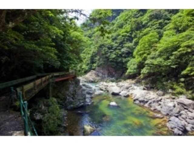 ���勬�V�����̎ʐ^1