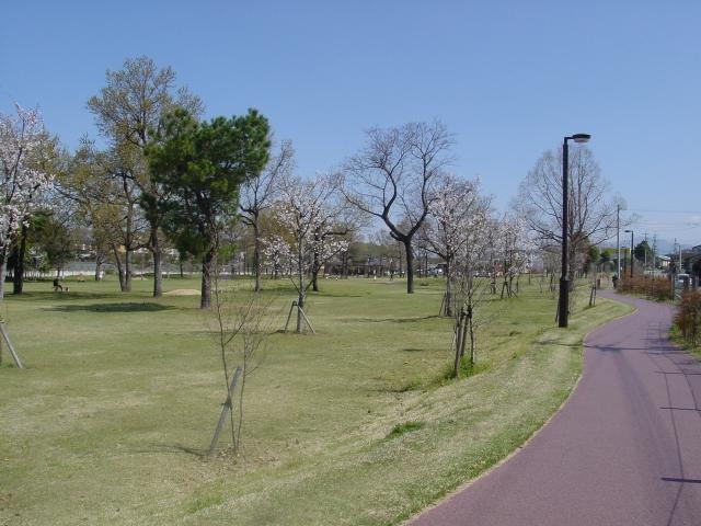 元気の森公園_元気の森公園