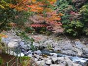 ���勬�V�����̎ʐ^2