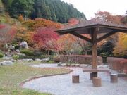 ��m���͐�����^���݂��̎ʐ^2