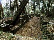 �_���_�Ђ̎ʐ^1