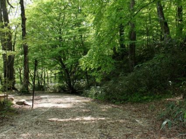 �V�b�q�V����