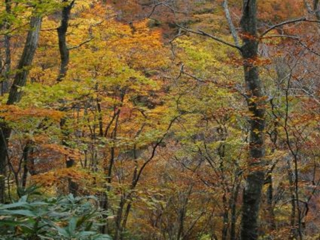 �V�b�q�V����