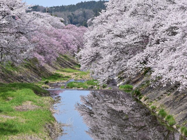 ����������J�̎ʐ^1