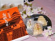 �k�m���̎ʐ^2