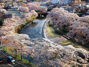 ����������J�̎ʐ^2