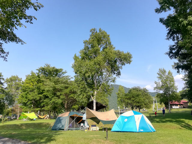 �j�j�E�L�����v��