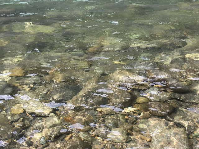 �j�j�E�L�����v��