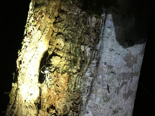 �j�j�E�L�����v��