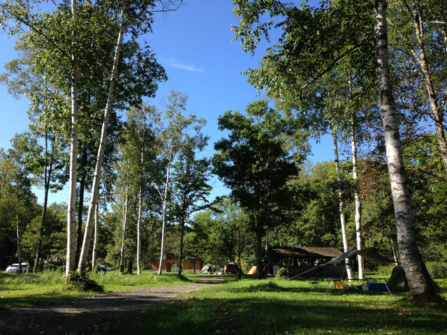 �j�j�E�L�����v��