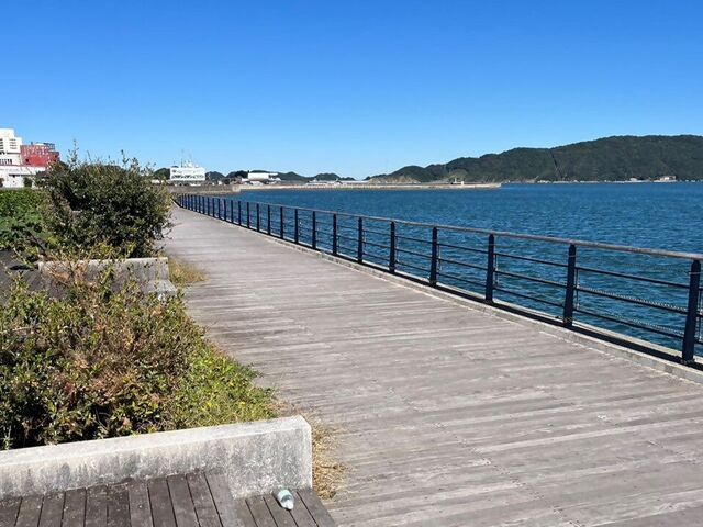 �J�����̎U����_�J�����̎U����