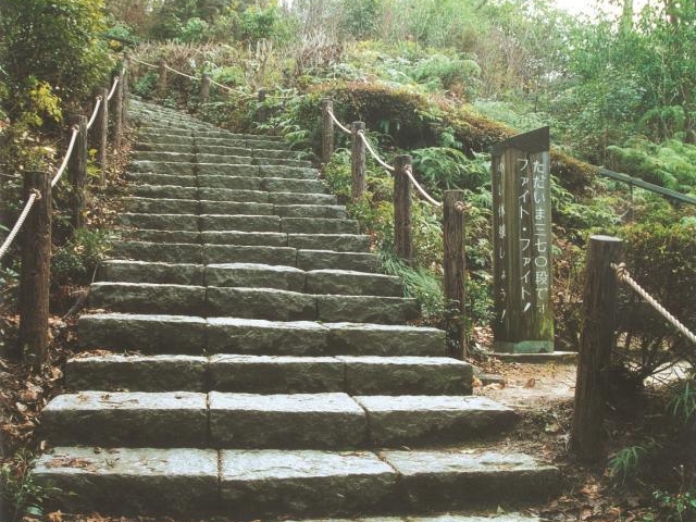 ����R��ՁE�����R�Βi�̎ʐ^1